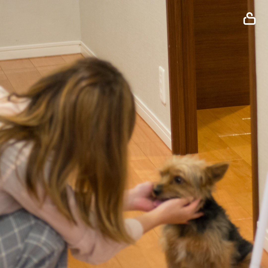 子犬と戯れる画像